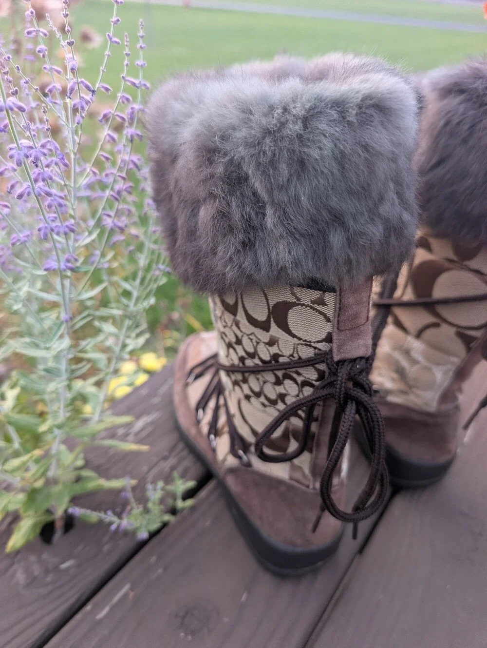 Coach Laurilyn Signature Logo Lace-Up Winter Boots with Gray Shearling Cuffs